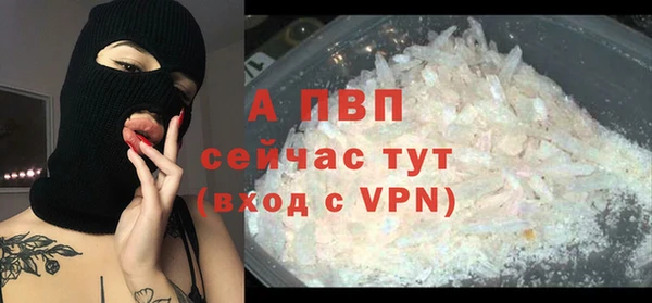 Альфа ПВП Бородино