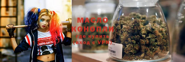 Альфа ПВП Бородино