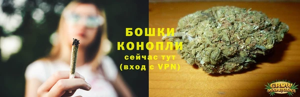 Альфа ПВП Бородино