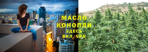 Альфа ПВП Бородино
