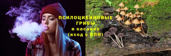 Альфа ПВП Бородино
