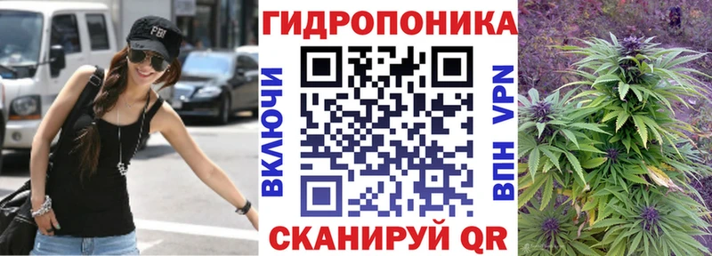 цены   Новошахтинск  Конопля семена 